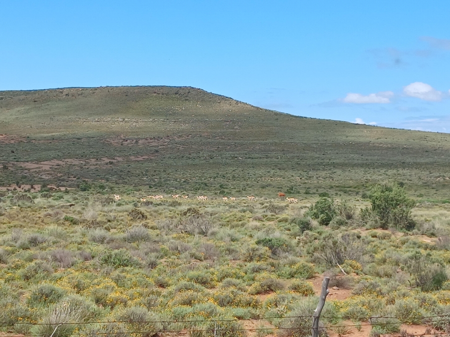 0 Bedroom Property for Sale in Richmond Rural Northern Cape